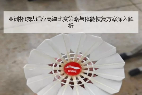亚洲杯球队适应高温比赛策略与体能恢复方案深入解析